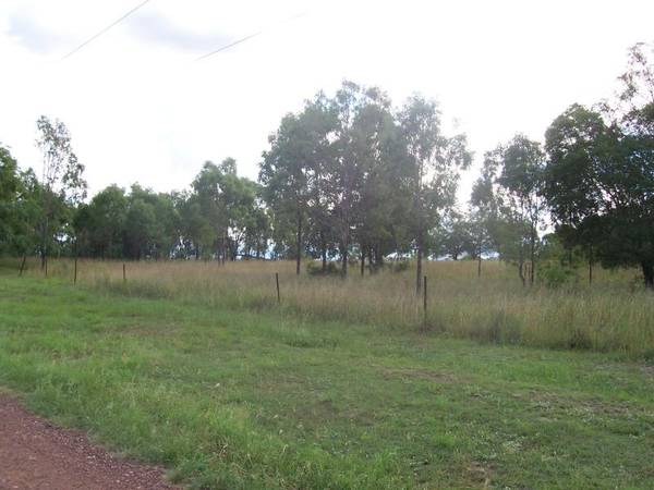 FUTURE NEST EGG Picture 2