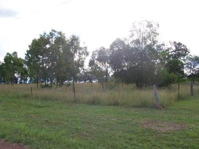 FUTURE NEST EGG Picture