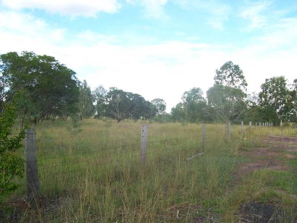 FUTURE NEST EGG Picture 3