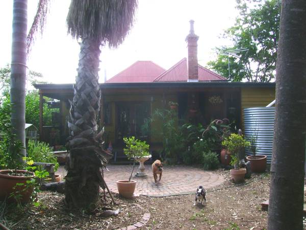 Elevated Colonial in quiet Street Picture 3