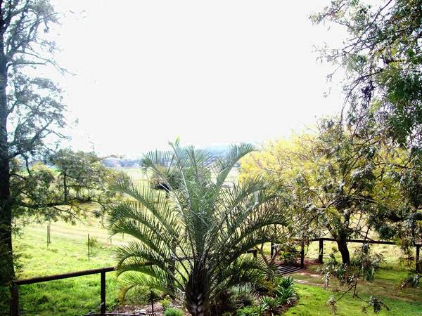 CHATTELS AUCTION - 9TH NOVEMBER @ 9.30am Picture 3