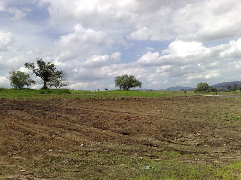 Recent Release!
Boonah Ridge Estate Picture 3