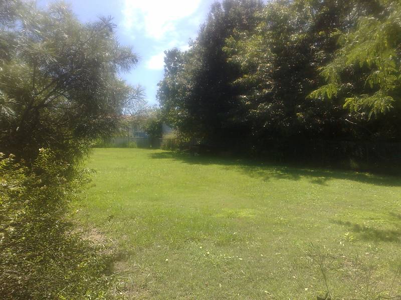 Vacant Building Block in Established Area - only $99,000 Picture 3