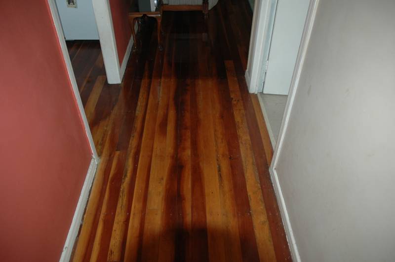 First Home Owner? This is your home Picture 2