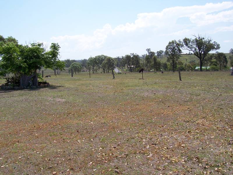 BUY NOW - FOR THE FUTURE - 10 ACRES IN RIPLEY Picture 3