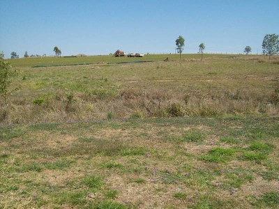'WILLOWBANK WONDER ON ACREAGE' JUMP INTO $21,000 GRANT!! Picture