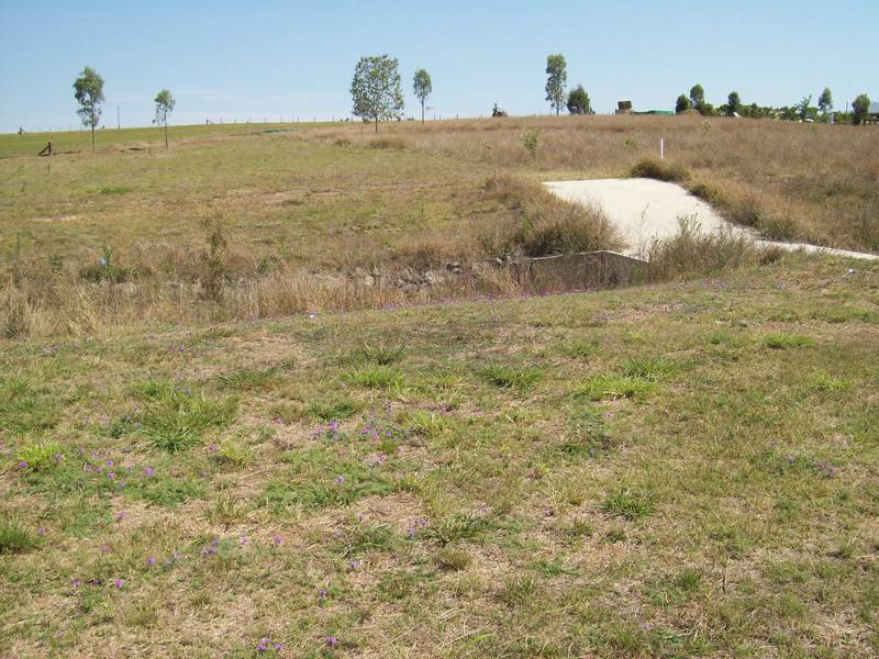 'WILLOWBANK WONDER ON ACREAGE' JUMP INTO $21,000 GRANT!! Picture 3