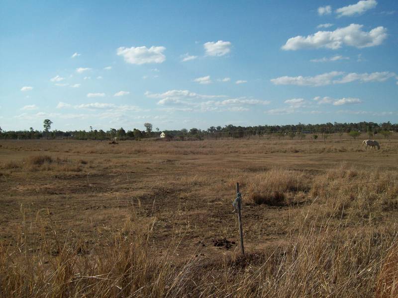 GREAT FOR HORSES - LOCKYER WATERS Picture 1