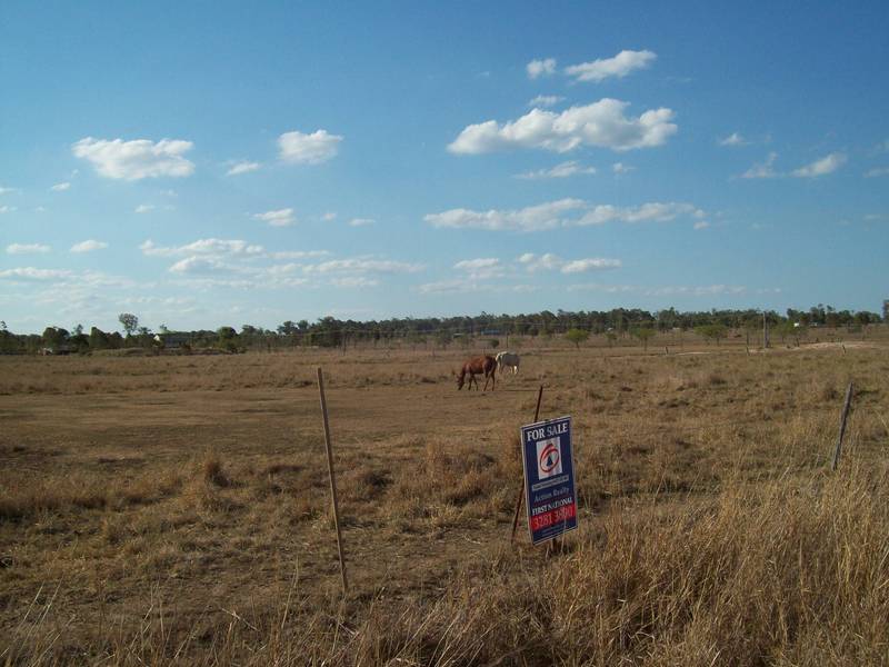GREAT FOR HORSES - LOCKYER WATERS Picture 2