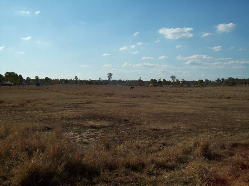 GREAT FOR HORSES - LOCKYER WATERS Picture 3