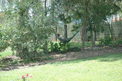 Huge executive Queenslander style home Picture