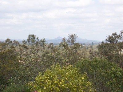 LAND HIGH IN THE SKY!!! Picture