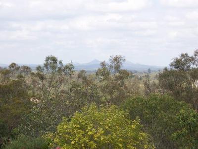 LAND HIGH IN THE SKY!!! Picture