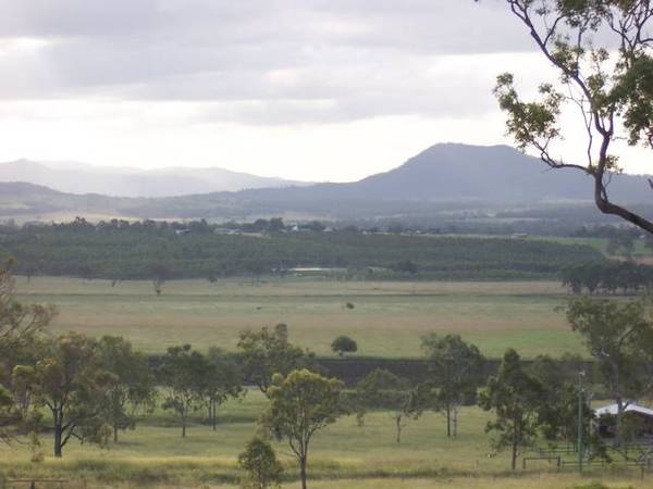 RURAL PROPERTY & BUSINESS ONLY 30 MINS FROM IPSWICH CBD Picture 3