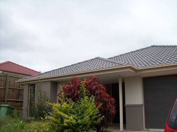 COLLINGWOOD PARK Picture 1