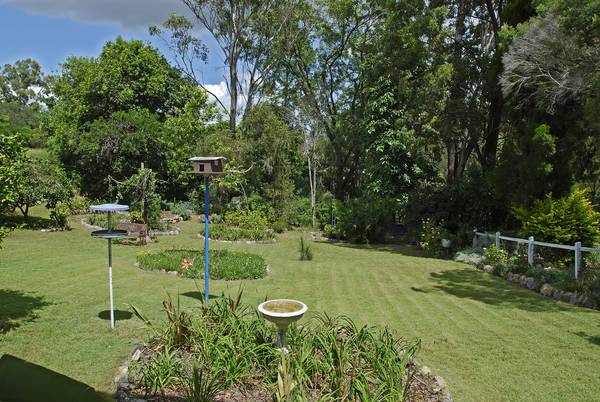 Going Once..... Going Twice..... Don't Miss This Beauty Picture 3