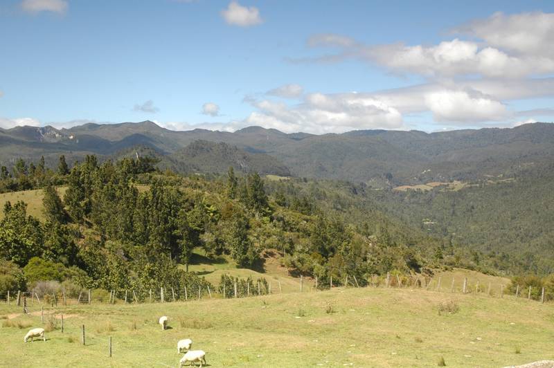 Leave your cares behind! Picture 2