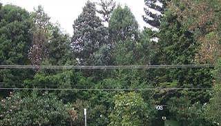 BRIDGEMAN DOWNS - 2.5 PRIME ACRES Picture 1