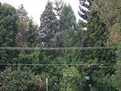 BRIDGEMAN DOWNS - 2.5 PRIME ACRES Picture