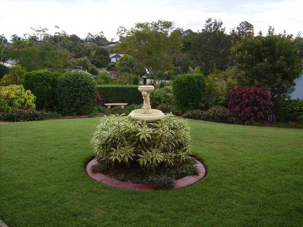 Garden Paradise on Petrie Pine Picture