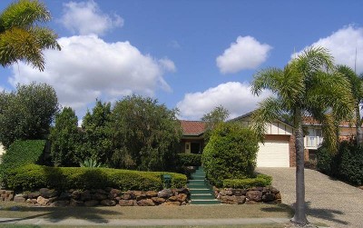 Family Entertainer - Picture