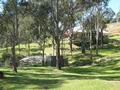 Home Amoungst The Gum Trees Picture