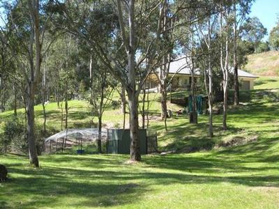 Home Amoungst The Gum Trees Picture