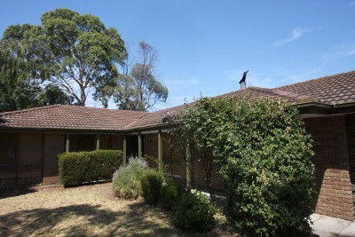 A GREAT STARTER OR FABULOUS INVESTMENT OPPORTUNITY! Picture