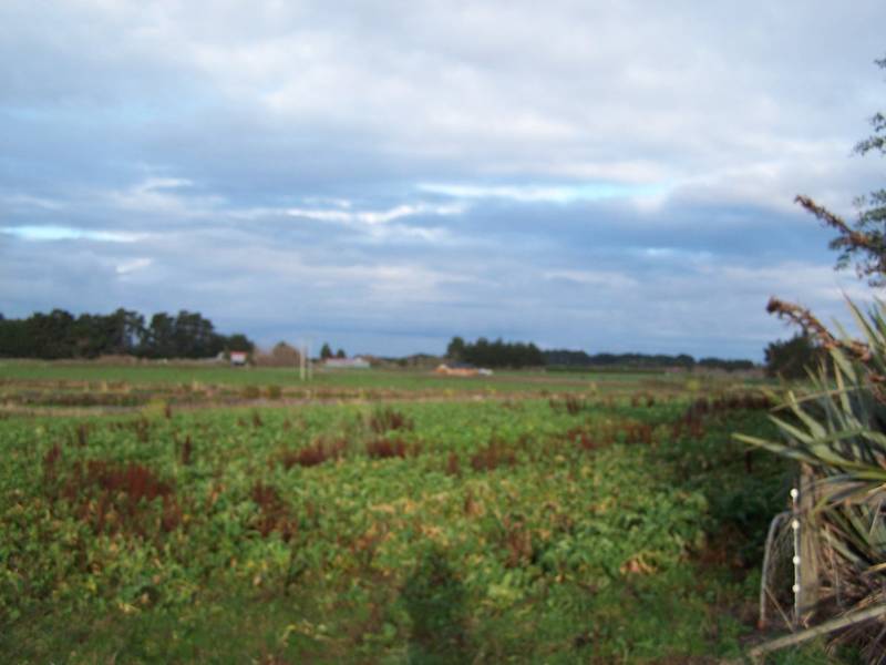 $350,000 + GST Picture 3