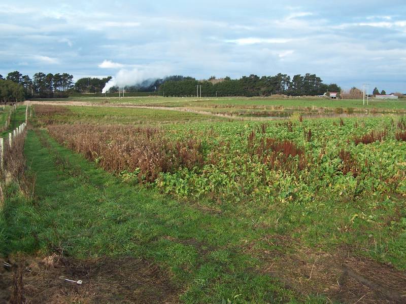 $350,000 + GST Picture 2