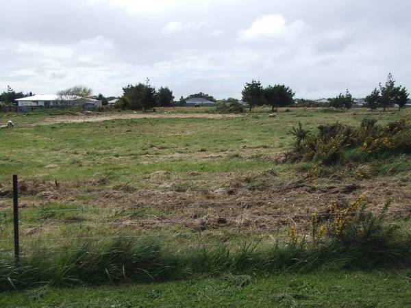 OPPORTUNITY KNOCKS Picture 1