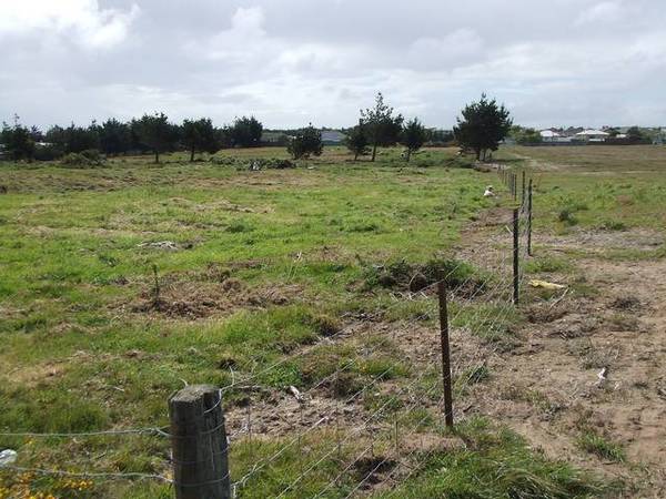 OPPORTUNITY KNOCKS Picture 2