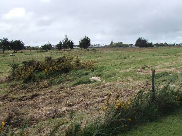 OPPORTUNITY KNOCKS Picture 1