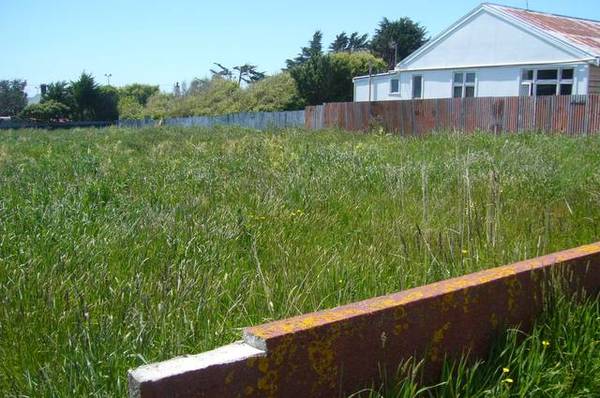 BARGAIN BUYING Picture 3