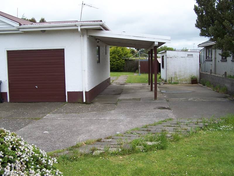 Complete with 4 dozen speights cans Picture Complete with 4 dozen speights cans Picture