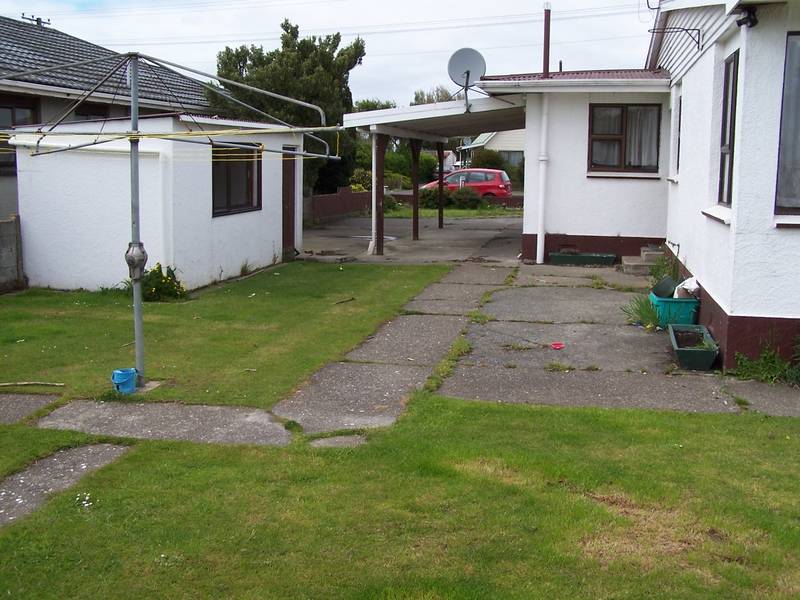 Complete with 4 dozen speights cans Picture Complete with 4 dozen speights cans Picture