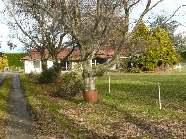 A Slice of Country Picture 1