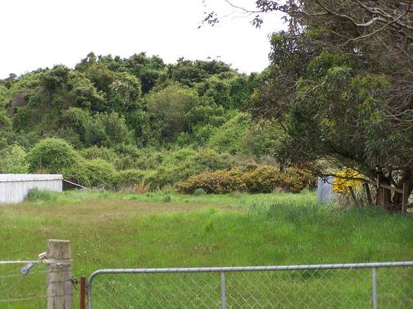 OTATARA SECTION Picture 3