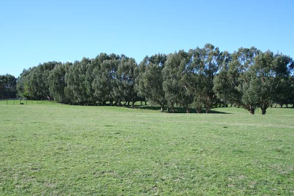 TUKAIRANGI VALLEY Picture 3