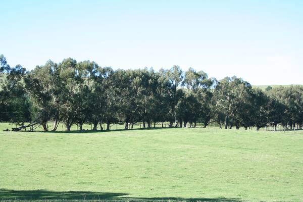 TUKAIRANGI VALLEY Picture 2