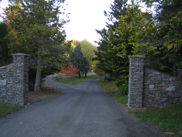 ACACIA BAY Picture 2