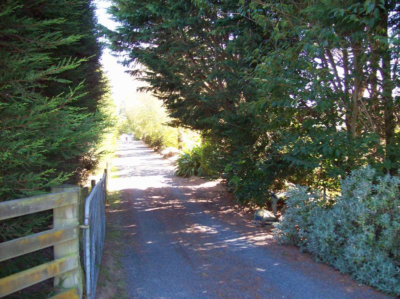 BONSHAW PARK - LAKE TAUPO Picture 2