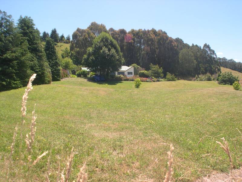 ACACIA BAY Picture 2