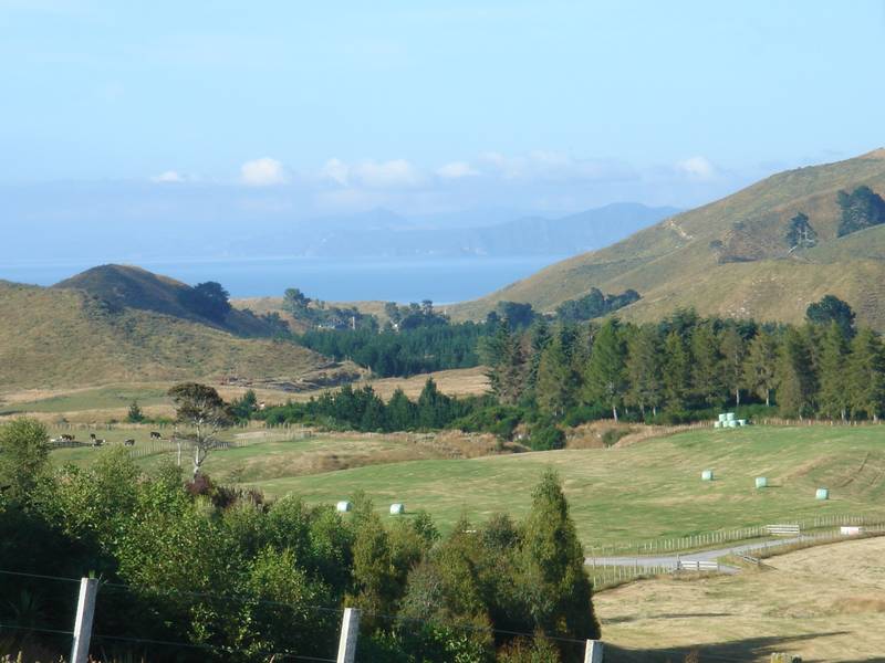 WHAKAIPO BAY Picture 1