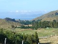 WHAKAIPO BAY Picture