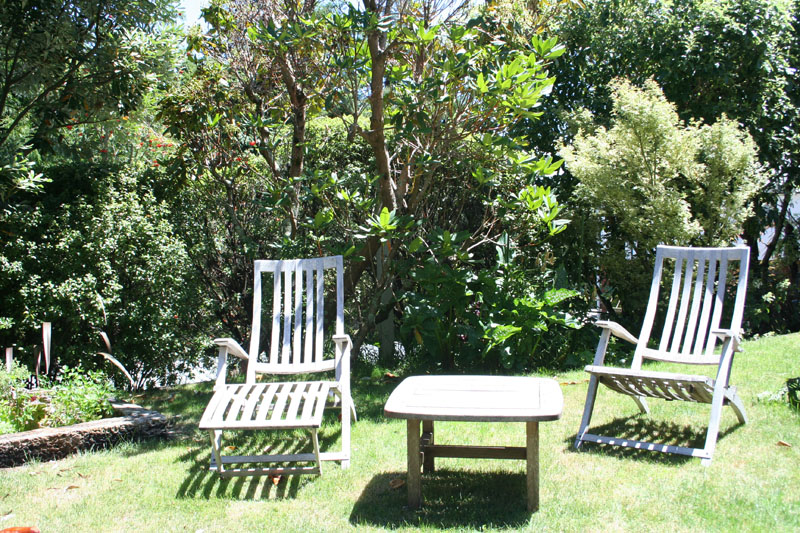 BOTANICAL GARDENS Picture 3