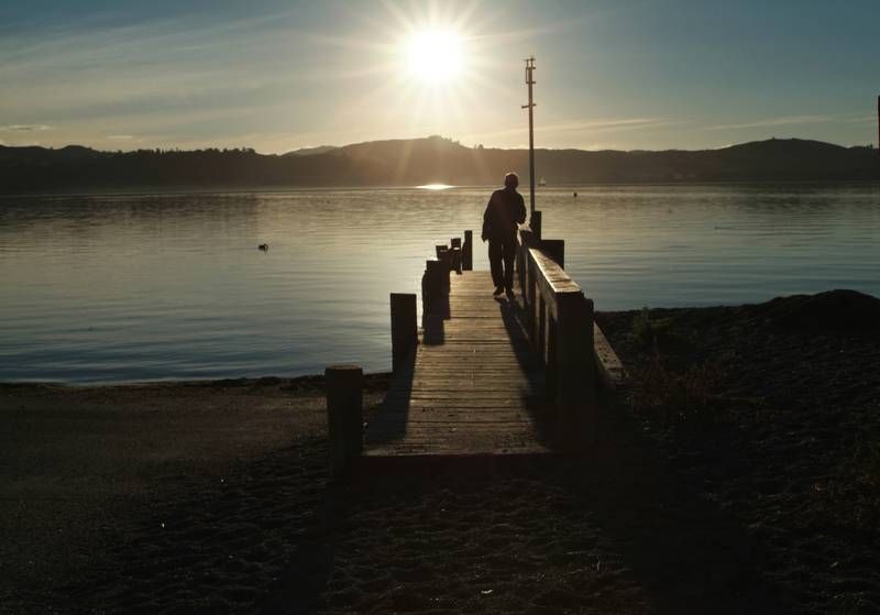 LAKESIDE - THREE MILE BAY - LAKE TAUPO Picture 3