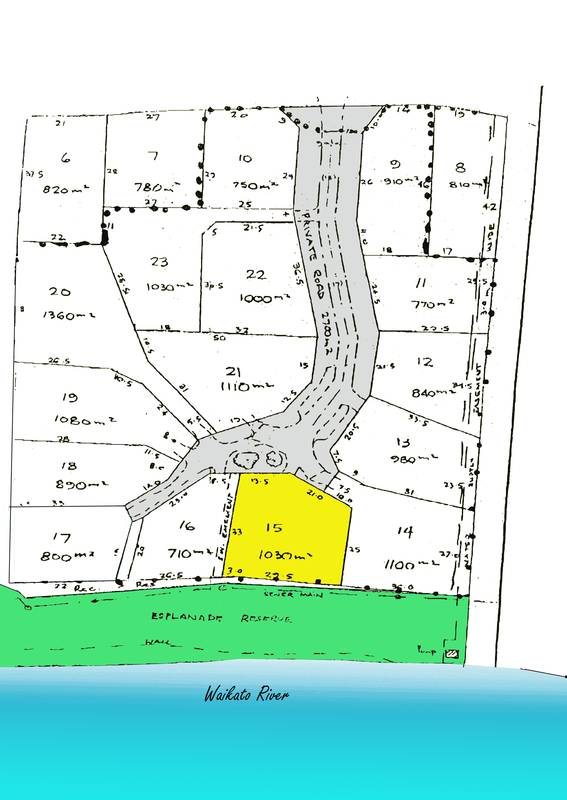 Rangatira Park Picture 3