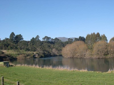 Rangatira Park Picture