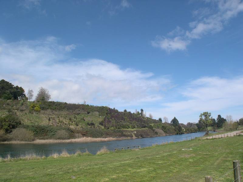 Rangatira Park Picture 2